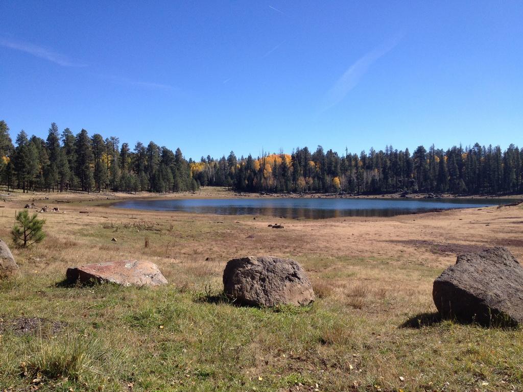 Mountain Haven Inn Pinetop-Lakeside Extérieur photo