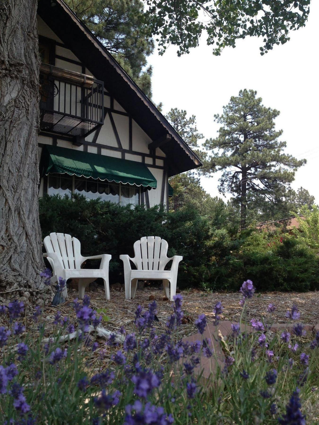 Mountain Haven Inn Pinetop-Lakeside Extérieur photo