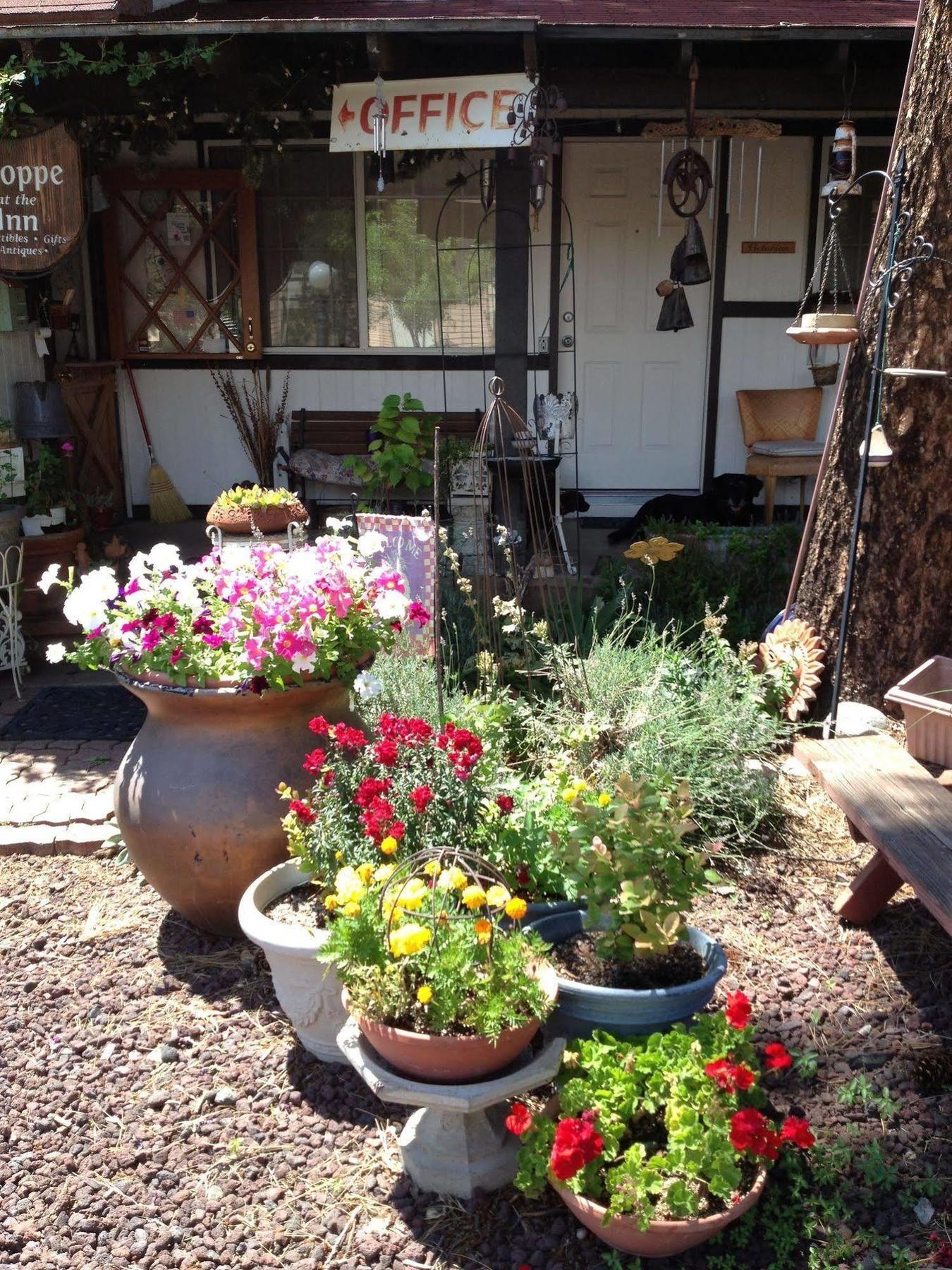 Mountain Haven Inn Pinetop-Lakeside Extérieur photo